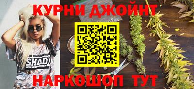 молекула духа Пенза