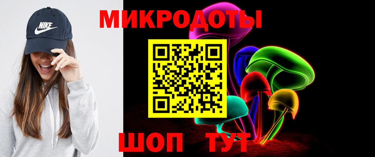 Псилоцибиновые грибы Cubensis  Вход с VPN  Серов 